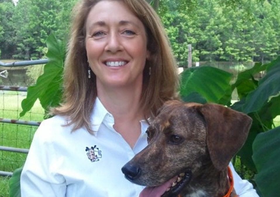 Bark Busters