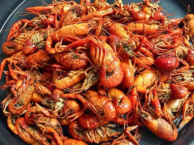 Craw Fish Boil May 5th